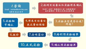 優(yōu)寧維公司隆重推出專業(yè)抗體相關(guān)實(shí)驗(yàn)技術(shù)服務(wù)，賦能生命科學(xué)研究